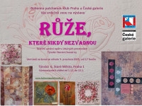 /album/aktuality/image-proxy3-jpg/