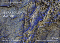 /album/aktuality/image-proxy2-jpg/